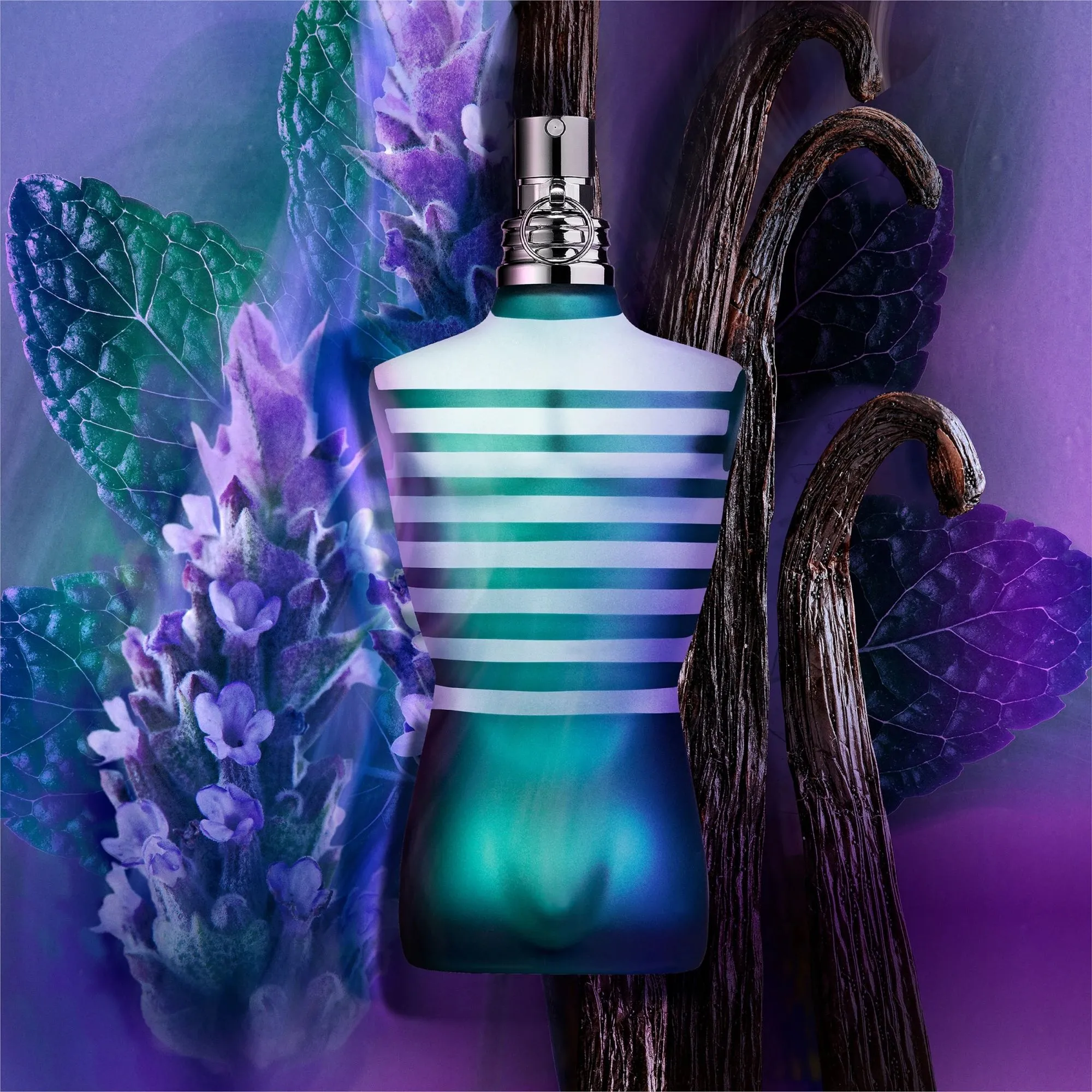 Le Male Eau de toilette